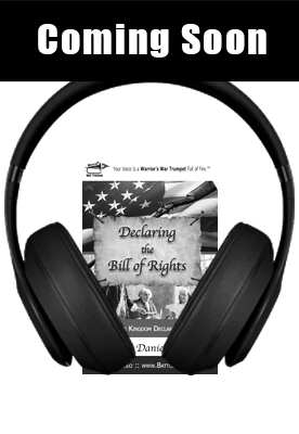 book_cover_book-2_declaring_the_bill_of_rights_small_audio_book