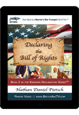 book_cover_book-2_declaring_the_bill_of_rights_small_ebook