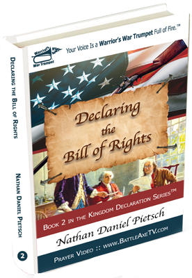 book_cover_book-2_declaring_the_bill_of_rights_small_hard_cover