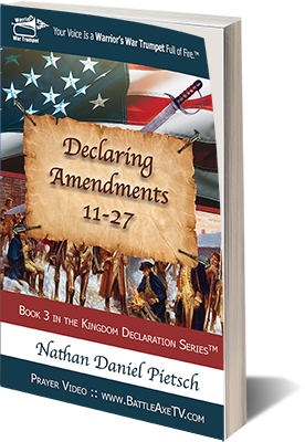 book_cover_book-3_declaring_amendments_11-27_small