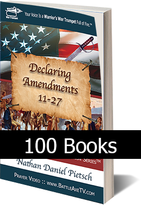 book_cover_book-3_declaring_amendments_11-27_small_100-book_purchase_soft_cover