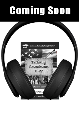 book_cover_book-3_declaring_amendments_11-27_small_audio_book
