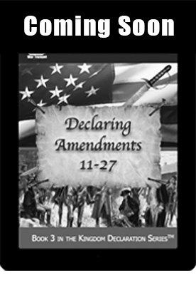 book_cover_book-3_declaring_amendments_11-27_small_ebook