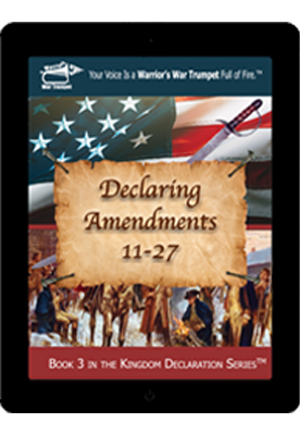 book_cover_book-3_declaring_amendments_11-27_small_ebook