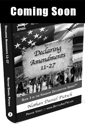 book_cover_book-3_declaring_amendments_11-27_small_hard_cover