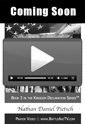 book_cover_book-3_declaring_amendments_11-27_small_video